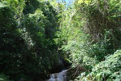 63 Cuba - Trinidad - Sierra del Escambray - Waterfalls